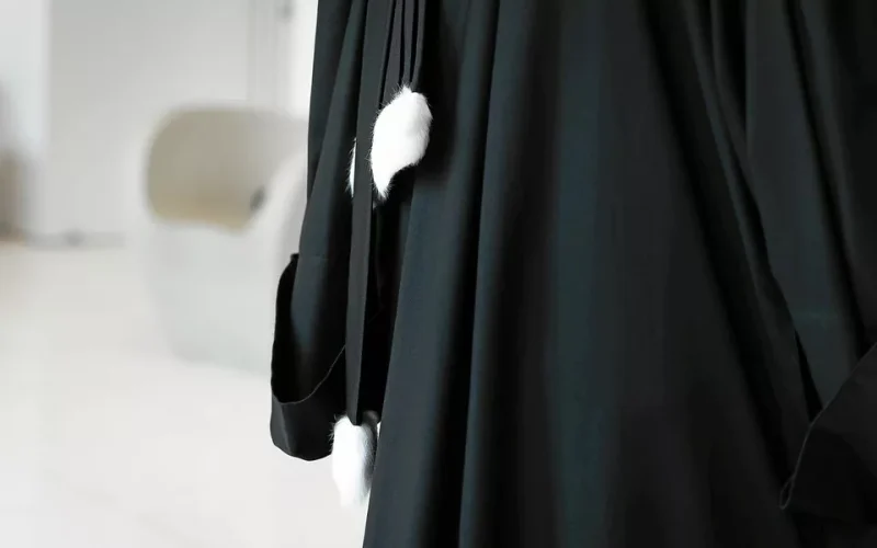 Cambriolage à Larmor-Plage : 2 clandestins algériens arrêtés