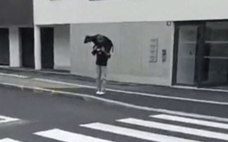 Immigration : à Rennes, un migrant afro-maghrébin vole un bouc en pleine rue (VIDÉO)