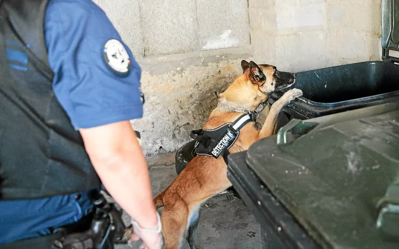 Torturé, enlevé et séquestré par des trafiquants de stupéfiants près de Dinan : Abdelmalik Hamidi condamné