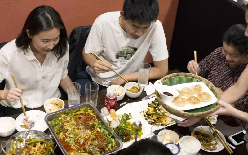 Trafic de civelles entre la Bretagne et la Chine via le Sénégal : un important réseau de trafiquants chinois démantelé
