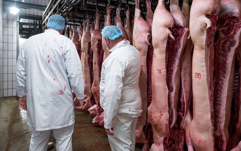 Éditorial : Quand Paris tue nos abattoirs, c’est toute la Bretagne qui saigne (Par Ronan Morvan)
