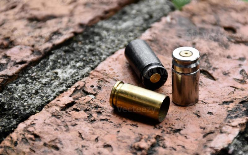 Orvault : nouvelle fusillade, le domicile d&rsquo;un couple de retraités touché